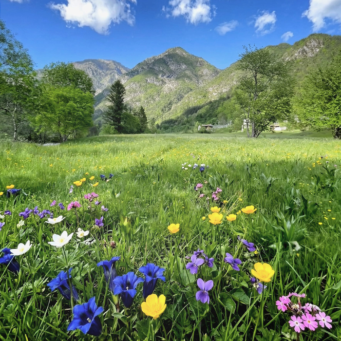 Yoga e benessere in Val d'Arzino