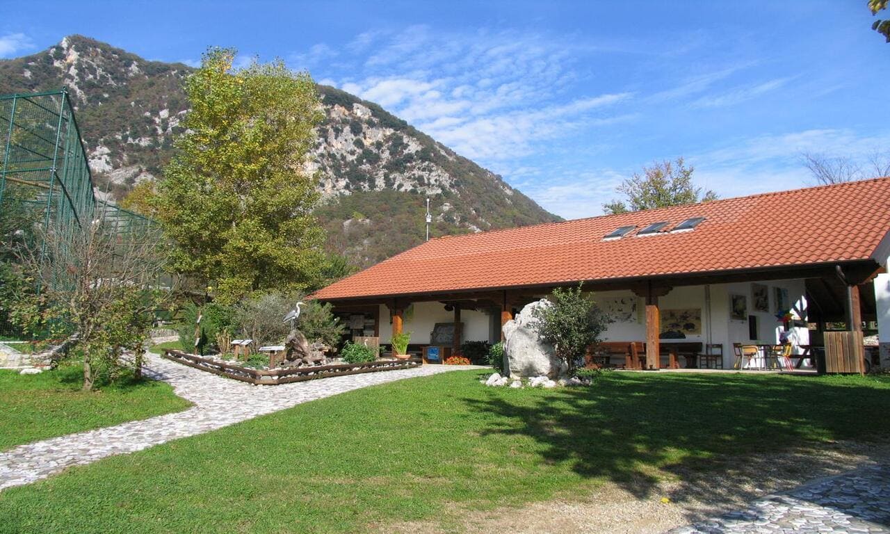 Centro Visite del Lago di Cornino, Progetto Grifoni