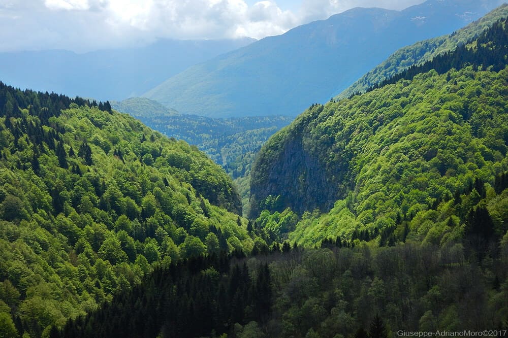 Vista della Forra del Vinadia, con pareti rocciose e vegetazione rigogliosa.